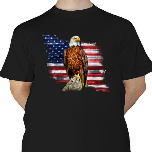 Eagle Flag 02 DTF