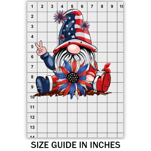 USA Gnome DTF