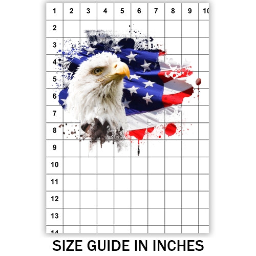 American Flag With Eagle Sublimation