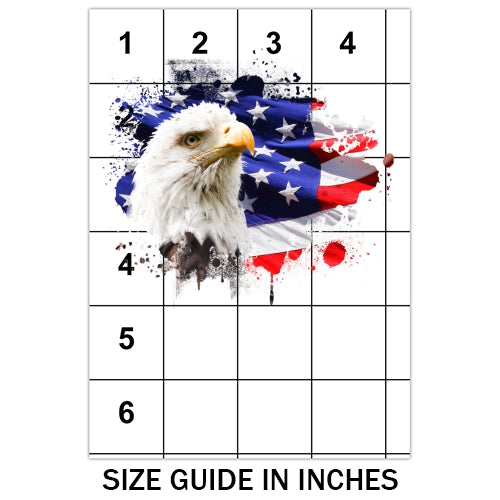 American Flag With Eagle Sublimation