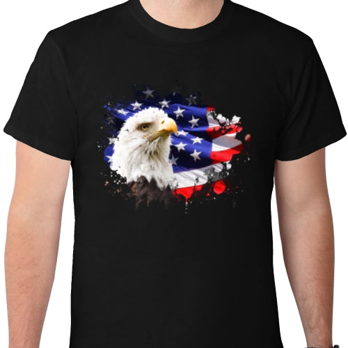 American Flag With Eagle DTF