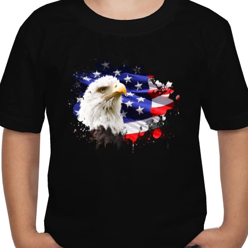 American Flag With Eagle DTF