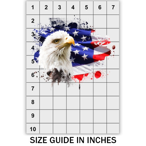 American Flag With Eagle DTF