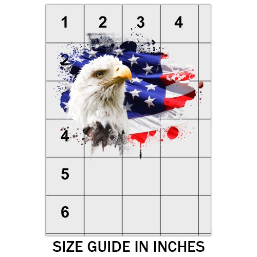 American Flag With Eagle DTF