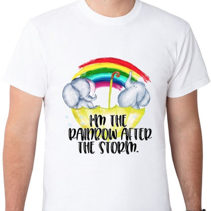 Rainbow After The Storm Sublimation