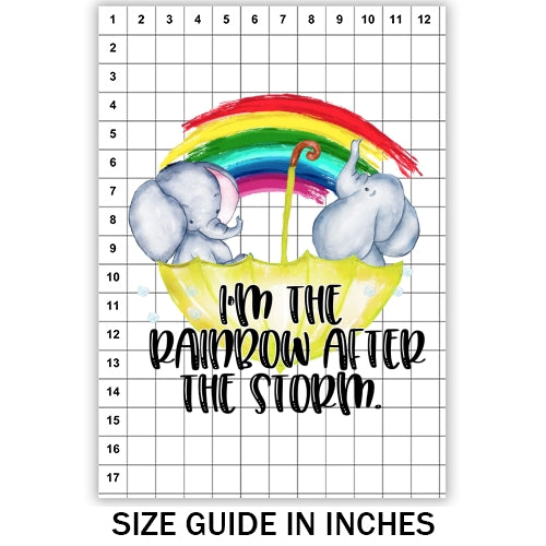 Rainbow After The Storm Sublimation