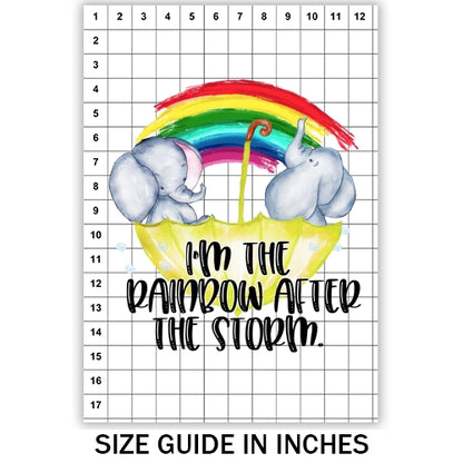 Rainbow After The Storm Sublimation