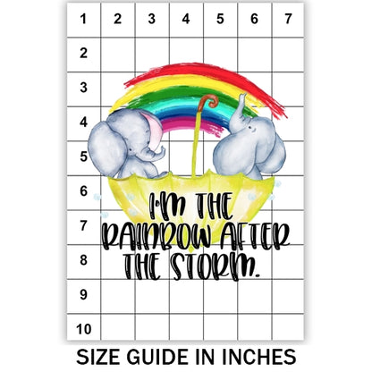 Rainbow After The Storm Sublimation