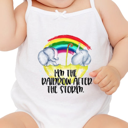 Rainbow After The Storm Sublimation