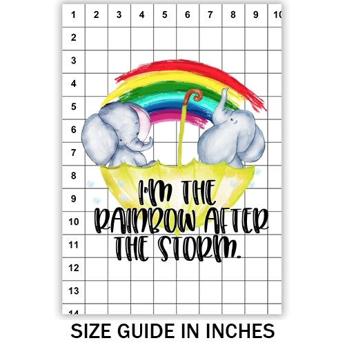 Rainbow After The Storm Sublimation