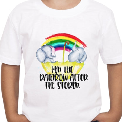 Rainbow After The Storm Sublimation