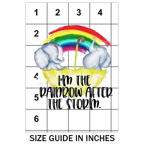 Rainbow After The Storm Sublimation