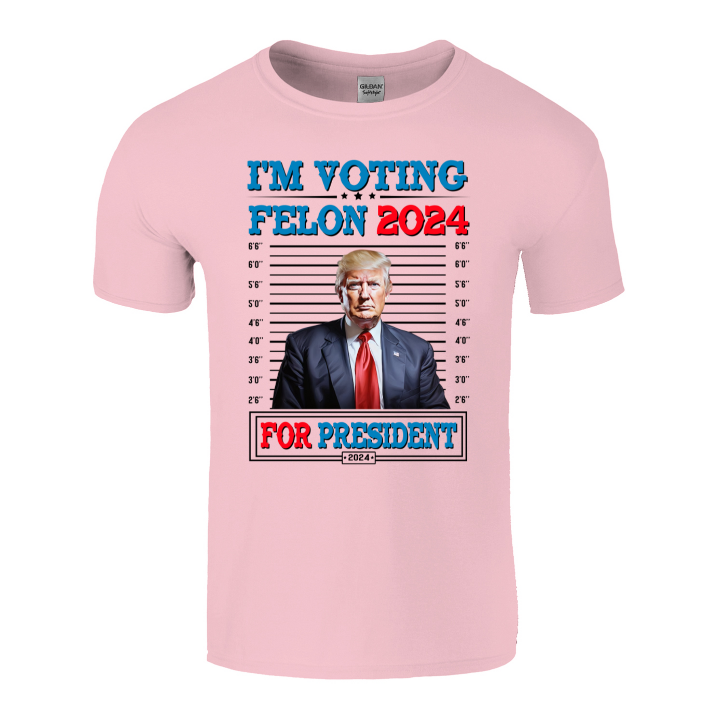 I'm Voting Felon 2024