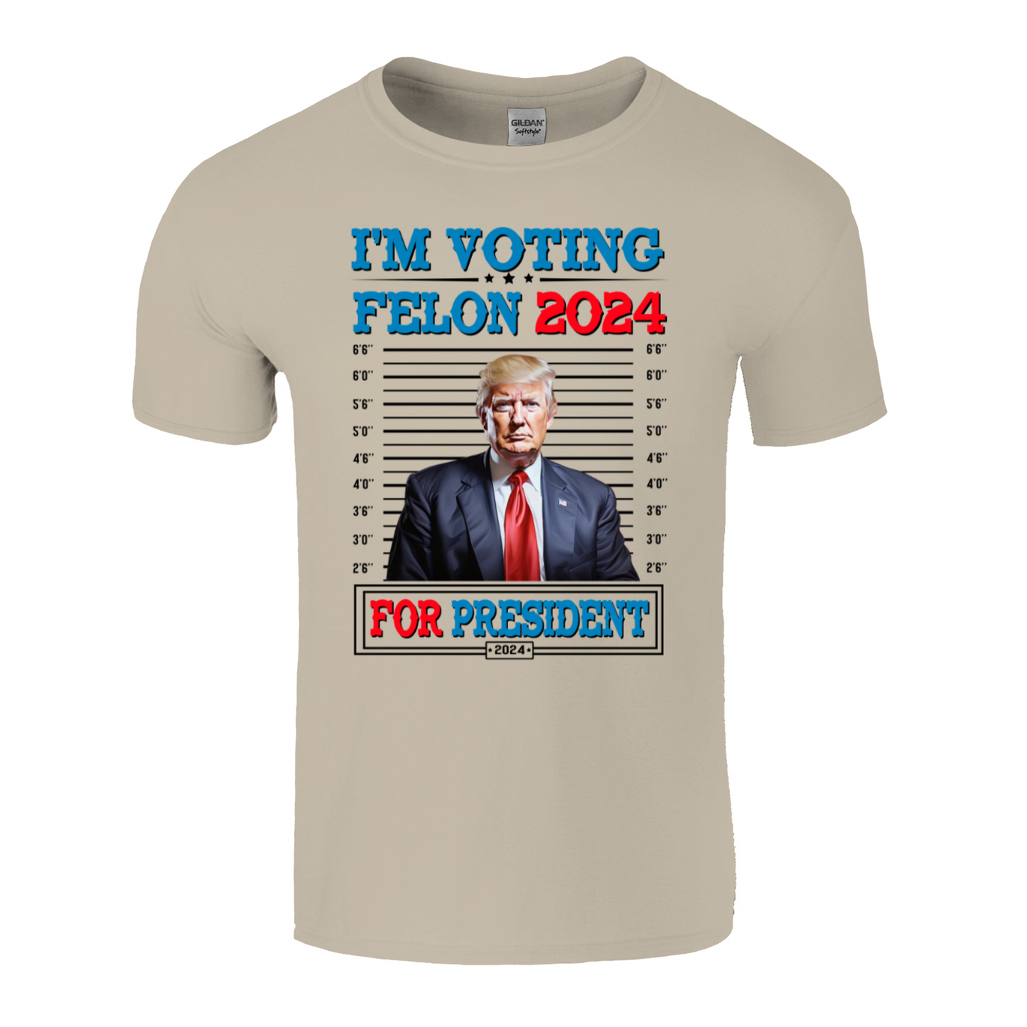 I'm Voting Felon 2024